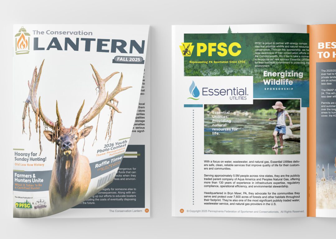 Quarterly Magazine
